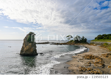 神奈川県横須賀市の立石公園 119503123