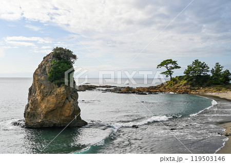 神奈川県横須賀市の立石公園 神奈川県横須賀市の立石公園 119503146