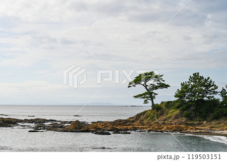 神奈川県横須賀市の立石公園 119503151