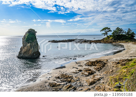 神奈川県横須賀市の立石公園 神奈川県横須賀市の立石公園 119503188
