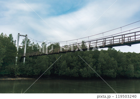 Hanging bridge crossing the river between mangrove forest. Hanging bridge crossing the river between mangrove forest. 119503240