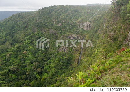 Majestic Chamarel Falls Cascading Through Lush Rainforest. 119503729