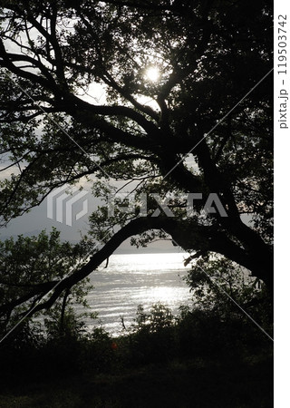 琵琶湖桂浜園地から見る琵琶湖 琵琶湖桂浜園地から見る琵琶湖 119503742