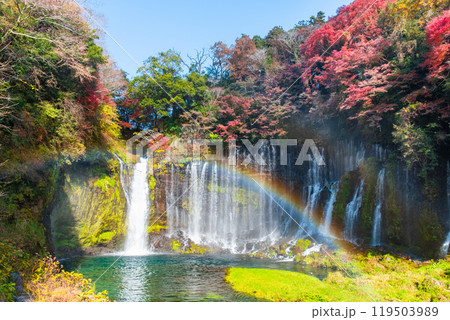 白糸の滝（秋）　[富士宮市] 119503989