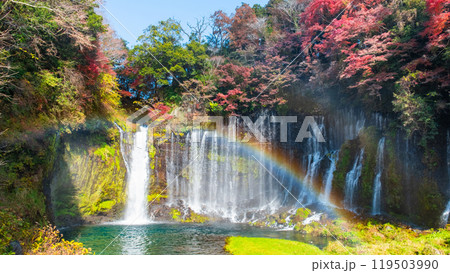 白糸の滝（秋）　[富士宮市] 119503990
