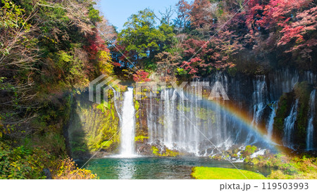 白糸の滝（秋）　[富士宮市] 119503993