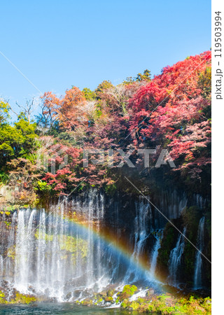 白糸の滝（秋）　[富士宮市] 119503994