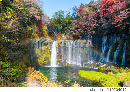 白糸の滝（秋）　[富士宮市] 119504011