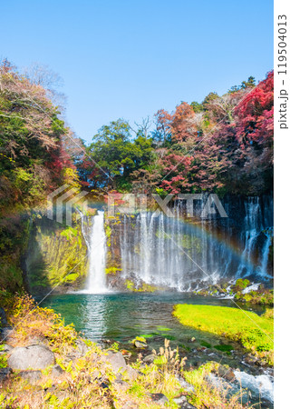 白糸の滝（秋）　[富士宮市] 119504013