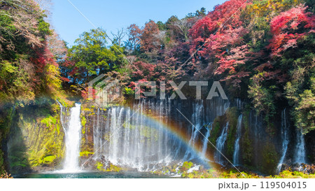 白糸の滝（秋）　[富士宮市] 119504015