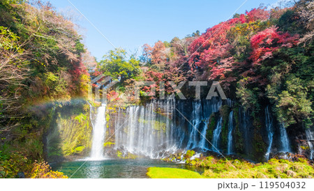 白糸の滝（秋）　[富士宮市] 119504032