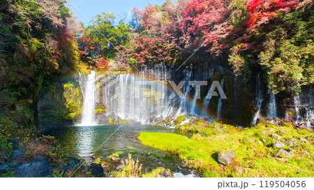 白糸の滝（秋）　[富士宮市] 119504056