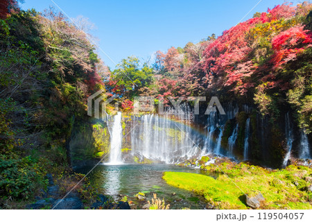 白糸の滝（秋）　[富士宮市] 119504057