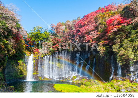 白糸の滝（秋）　[富士宮市] 119504059