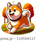 秋の野原を笑顔で駆け回る柴犬 119504117