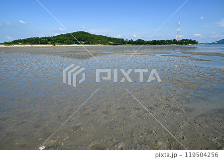 世界自然遺産・全羅南道新安郡の干潟【韓国】 世界自然遺産・全羅南道新安郡の干潟【韓国】 119504256