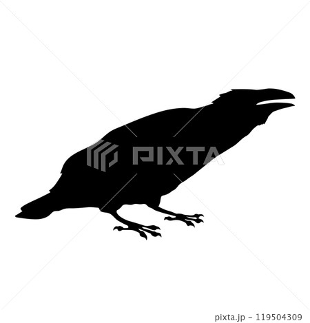 Bird Raven Crow Black Silhouette for Icon. 119504309