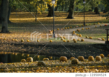 Serene park in autumn features a path lined with carved pumpkins, surrounded by golden foliage 119504524