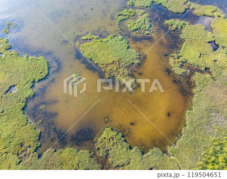 Aerial view of lake or river green shore with forest. Summer season. Aerial view of lake or river green shore with forest. Summer season. 119504651