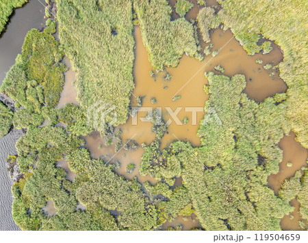 Aerial view of lake or river green shore with forest. Summer season. Aerial view of lake or river green shore with forest. Summer season. 119504659