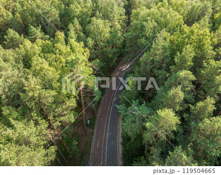Aerial view of the road in the summer forest with green high pine or spruce trees. 119504665