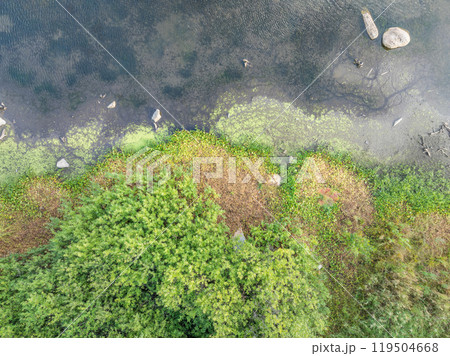 Aerial view of lake or river green shore with forest. Summer season. Aerial view of lake or river green shore with forest. Summer season. 119504668