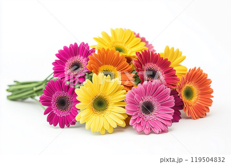 ガーベラ 119504832