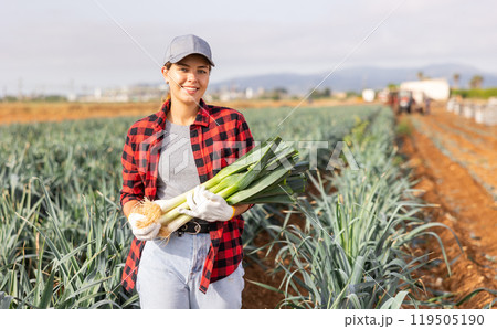 Successful young female horticulturist holding harvested leeks in field Successful young female horticulturist holding harvested leeks in field 119505190