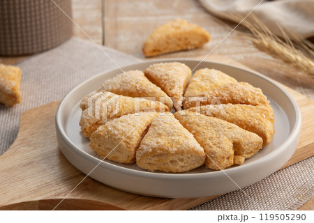 triangle shape butter crispy pie,Sugar Crisp Pie in white plate triangle shape butter crispy pie,Sugar Crisp Pie in white plate 119505290