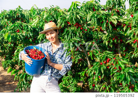 Woman is working on the plantation 119505392
