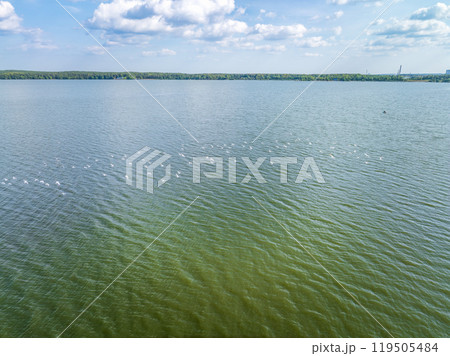 Aerial view of seagulls over lake in green forest 119505484