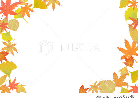 秋の紅葉のイラストフレーム　横 119505549