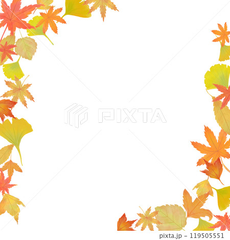 秋の紅葉のイラストフレーム　正方形 119505551