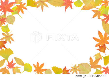 秋の紅葉のイラストフレーム　横 119505552