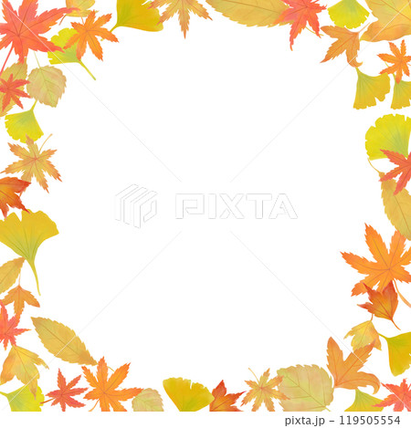 秋の紅葉のイラストフレーム 正方形 秋の紅葉のイラストフレーム 正方形 119505554