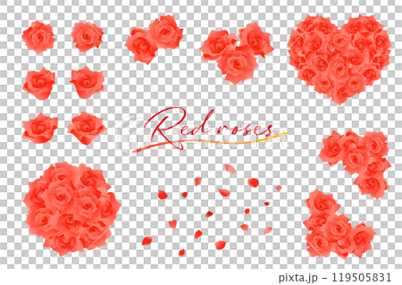 Red rose flower illustration material 119505831