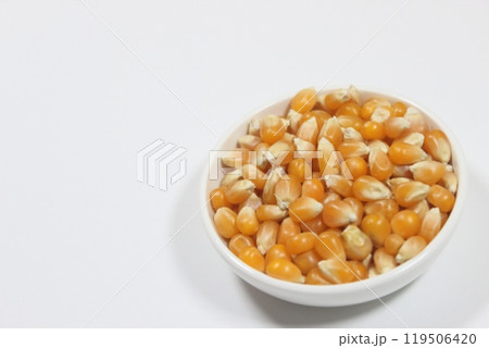 映画のお供に！ポップコーンの種（Zea mays everta） 119506420