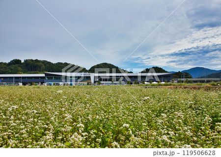 北陸新幹線 越前たけふ駅とそば畑 119506628