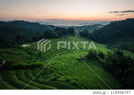 Aerial view of the rice fields,Rice fields and mountains in the early morning 119506747