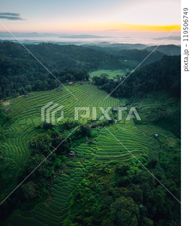Aerial view of the rice fields,Rice fields and mountains in the early morning Aerial view of the rice fields,Rice fields and mountains in the early morning 119506749