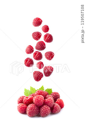 Sweet raspberry on white backgrounds 119507108
