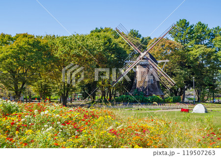 秋の名城公園の風車（名古屋市北区） 119507263