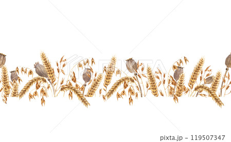 Horizontal seamless banner, border with oat branches, dried poppy seed heads and ears of wheat, cereal. Hand drawn watercolor illustration isolated on white. For clip art cards label package wallpaper Horizontal seamless banner, border with oat branches, dried poppy seed heads and ears of wheat, cereal. Hand drawn watercolor illustration isolated on white. For clip art cards label package wallpaper 119507347