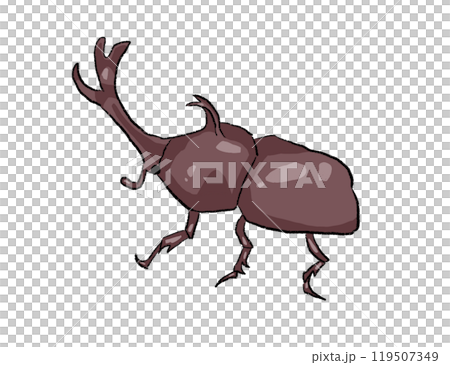 甲蟲插圖剪切 甲蟲插圖剪切 119507349