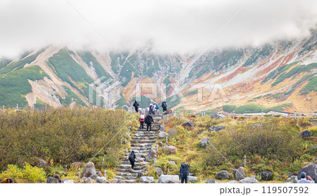 Murodo, Tateyama Kurobe Alpine Route, Japan, Hikers traverse a stone path leading through lush vegetation towards a colorful mountainous landscape shrouded in clouds. 119507592