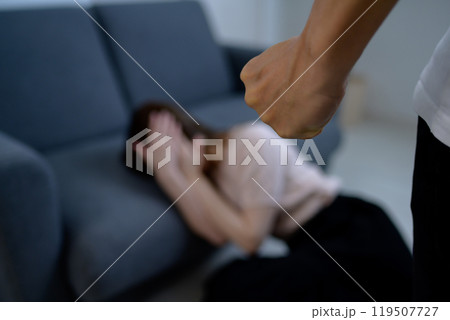 ドメスティックバイオレンス　DV　殴る男性と頬を押さえる女性 119507727
