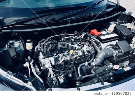 自動車のフロント部に保管されているエンジン 自動車のフロント部に保管されているエンジン 119507825