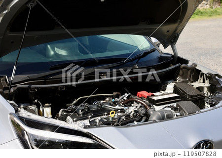 自動車のフロント部に保管されているエンジン 119507828