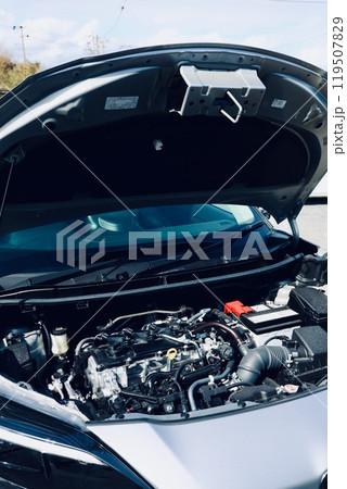 自動車のフロント部に保管されているエンジン 自動車のフロント部に保管されているエンジン 119507829