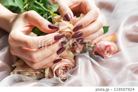 Elegant hands holding pale pink roses on soft fabric with manicured nails Elegant hands holding pale pink roses on soft fabric with manicured nails 119507924